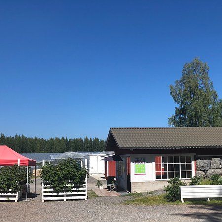 Vilppulan Mansikkatila